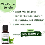 Thumbnail for Mystiq Living Originals Citronella Essential Oil - Distacart