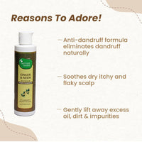Thumbnail for Mother Sparsh Ginger & Neem Anti-Dandruff Hair Cleanser