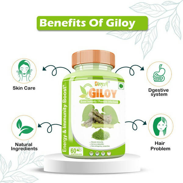 Divya Shree Giloy Capsules - Distacart
