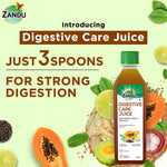 Thumbnail for Zandu Digestive Care Juice - Distacart
