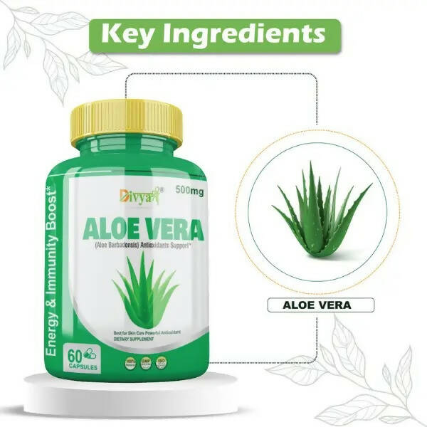 Divya Shree Aloe Vera Capsules - Distacart