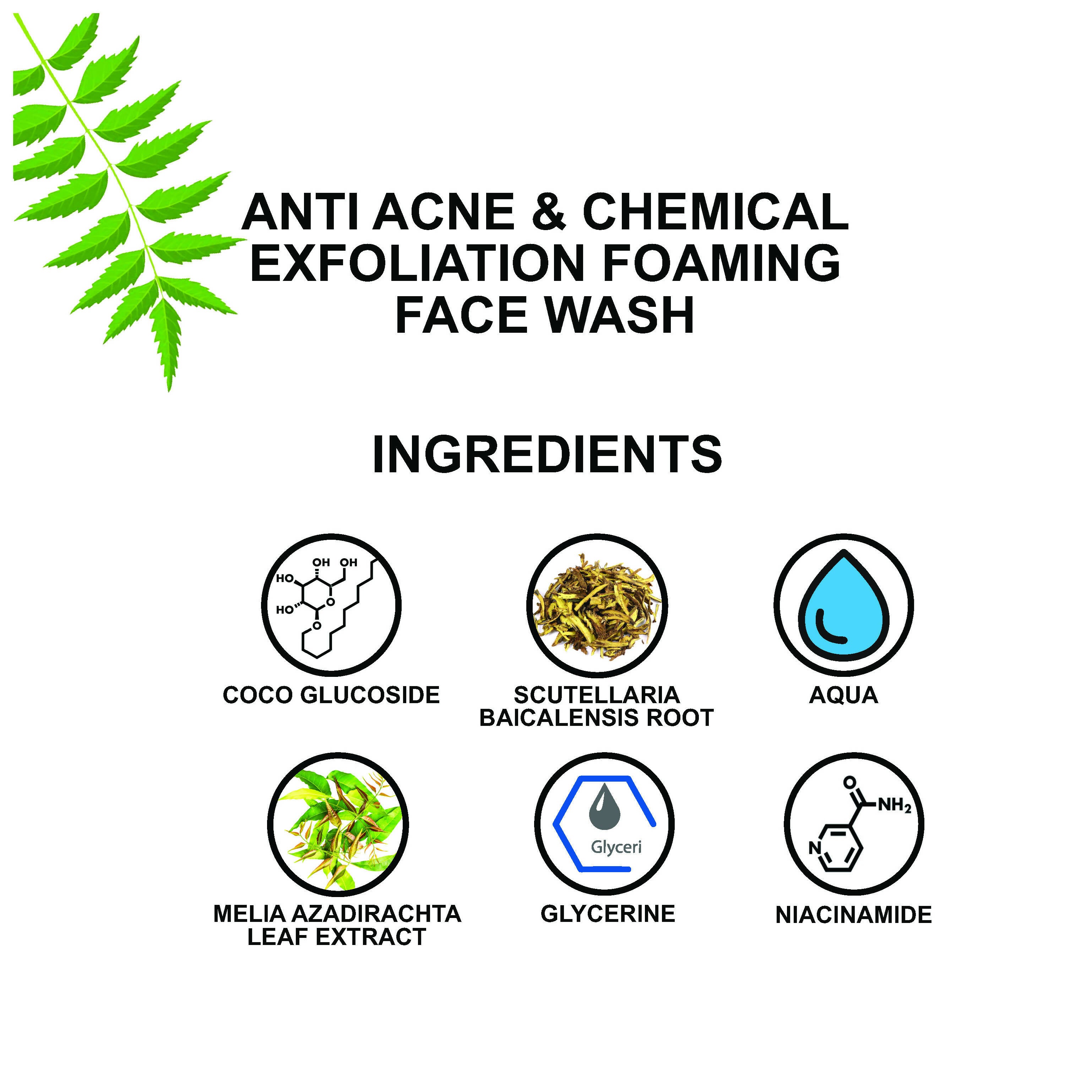 Love Earth Anti Acne & Chemical Exfoliation Foaming Face Wash - Distacart