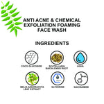 Thumbnail for Love Earth Anti Acne & Chemical Exfoliation Foaming Face Wash - Distacart