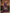 Myra Wine Faux Georgette Embroidered Sharara Suit - Distacart