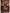Myra Maroon Faux Georgette Embroidered Sharara Suit - Distacart