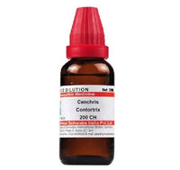 Thumbnail for Dr. Willmar Schwabe India Cenchris Contortrix Dilution 200 ch