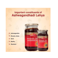 Thumbnail for Dabur Ashwagandhadi Lehya 400 gm