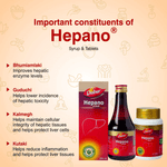 Thumbnail for Dabur Hepano Syrup Ingredients