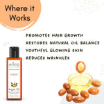 Thumbnail for Mystiq Living Originals Argan Oil - Distacart