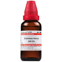 Thumbnail for Dr. Willmar Schwabe India Castanea Vesca Dilution
