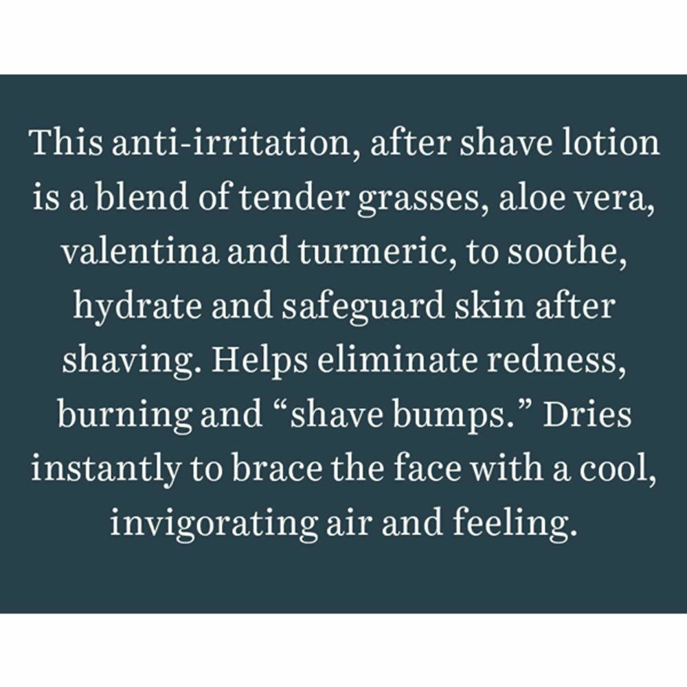 Biotique Bio Wild Grass A Soothing After Shave Gel For Men - Distacart