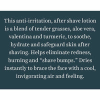 Thumbnail for Biotique Bio Wild Grass A Soothing After Shave Gel For Men - Distacart