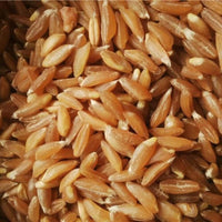Thumbnail for Freshon Jave Wheat Flour