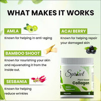 Thumbnail for Sprowt Plant Based Collagen - Distacart
