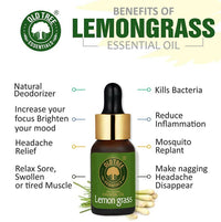 Thumbnail for Old Tree Lemongrass Essential Oil - Distacart