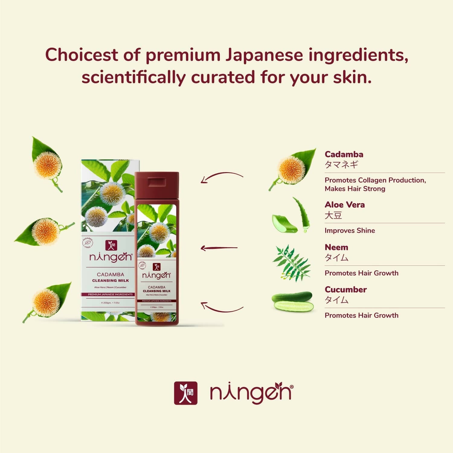 Ningen Cadamba Cleansing Milk Cream - Distacart