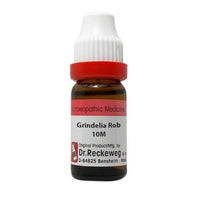 Thumbnail for Dr. Reckeweg Grindelia Robusta Dilution - Distacart