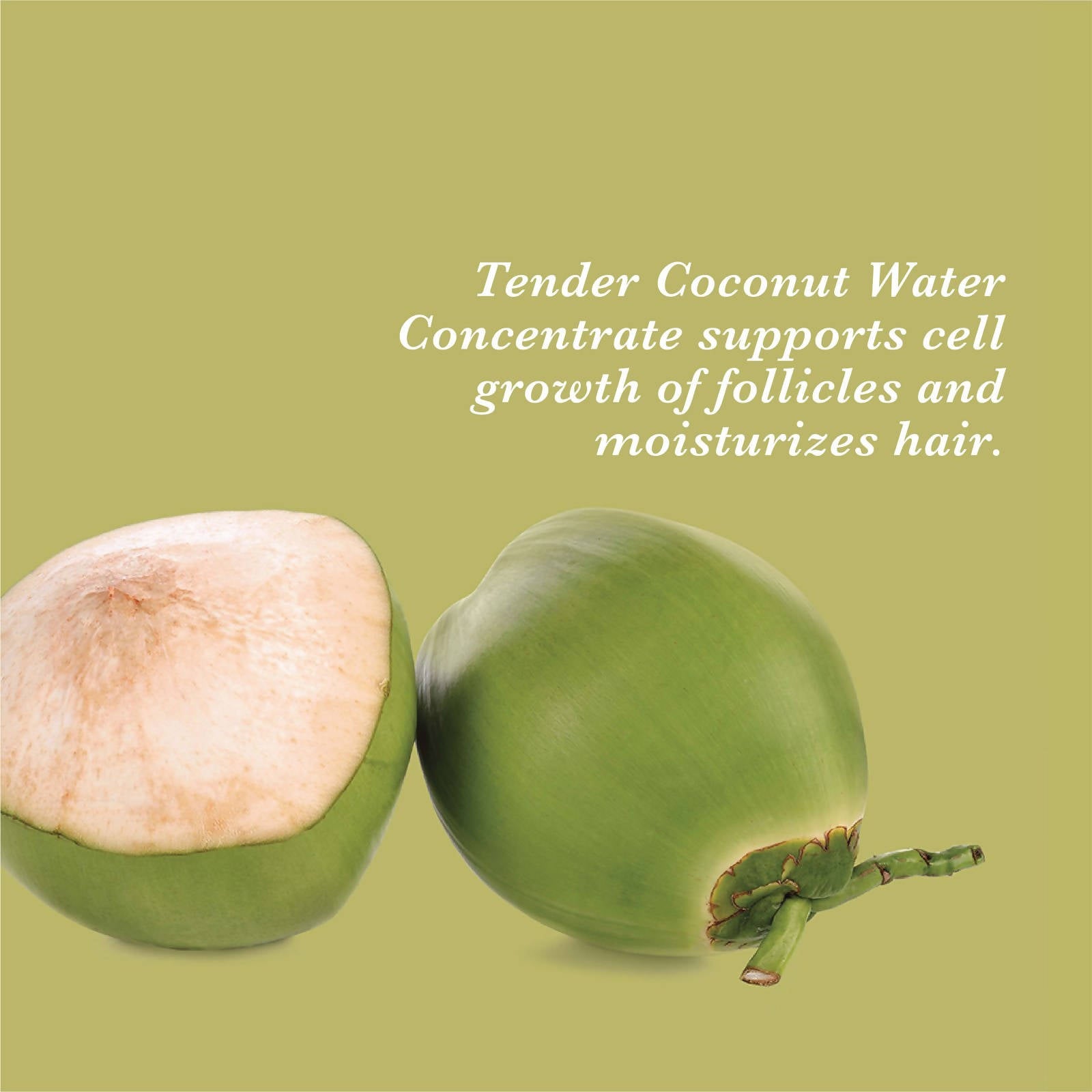 True Frog Curl Care Bundle - Distacart