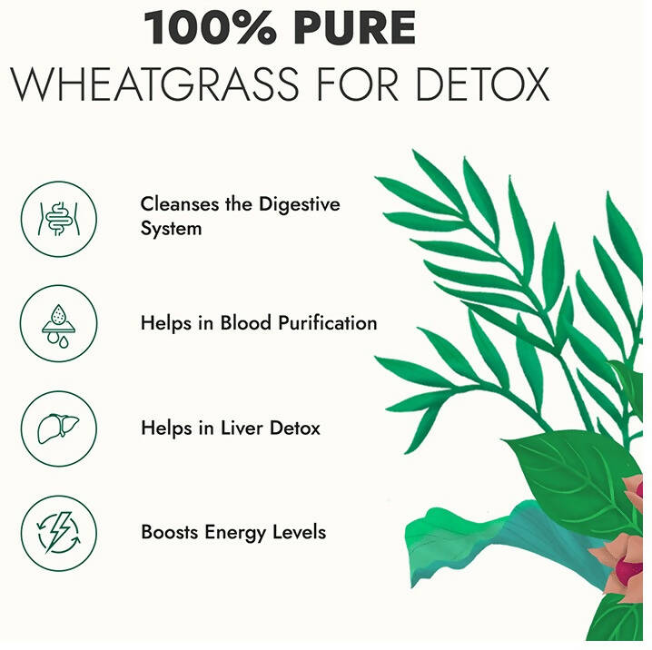 Kapiva Ayurveda Wheat Grass Juice - Distacart
