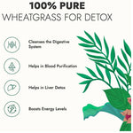Thumbnail for Kapiva Ayurveda Wheat Grass Juice - Distacart