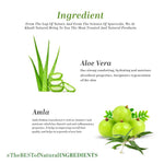 Thumbnail for Khadi Natural Aloe Vera Face Wash With Scrub
