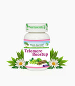 Thumbnail for Planet Ayurveda Telomere Boostup Capsules - Distacart