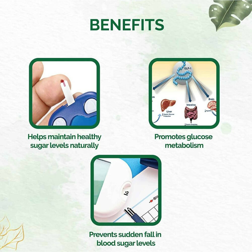 Dr. Vaidya's Diabex Capsules - Distacart