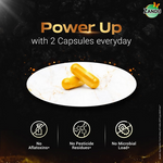 Thumbnail for Zandu SJ Gold Plus Capsules - Distacart