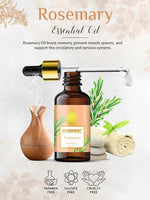Thumbnail for Nutriment Rosemary Essential Oil - Distacart