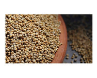 Thumbnail for Millet Amma Bajra (Pearl Millet) Organic - Distacart