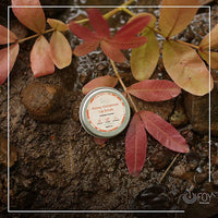 Thumbnail for FOY Naturals Cinnamon Lip Scrub