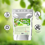 Thumbnail for Syndy Pharma Amla Powder (Indian Gooseberry) - Distacart
