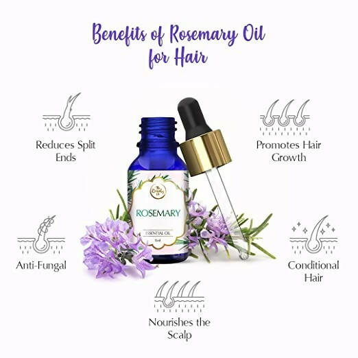 The Beauty Co. Rosemary Essential Oil - Distacart