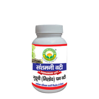 Thumbnail for Basic Ayurveda Guduchi (Giloy) Ghan Vati (Samsamani Vati)