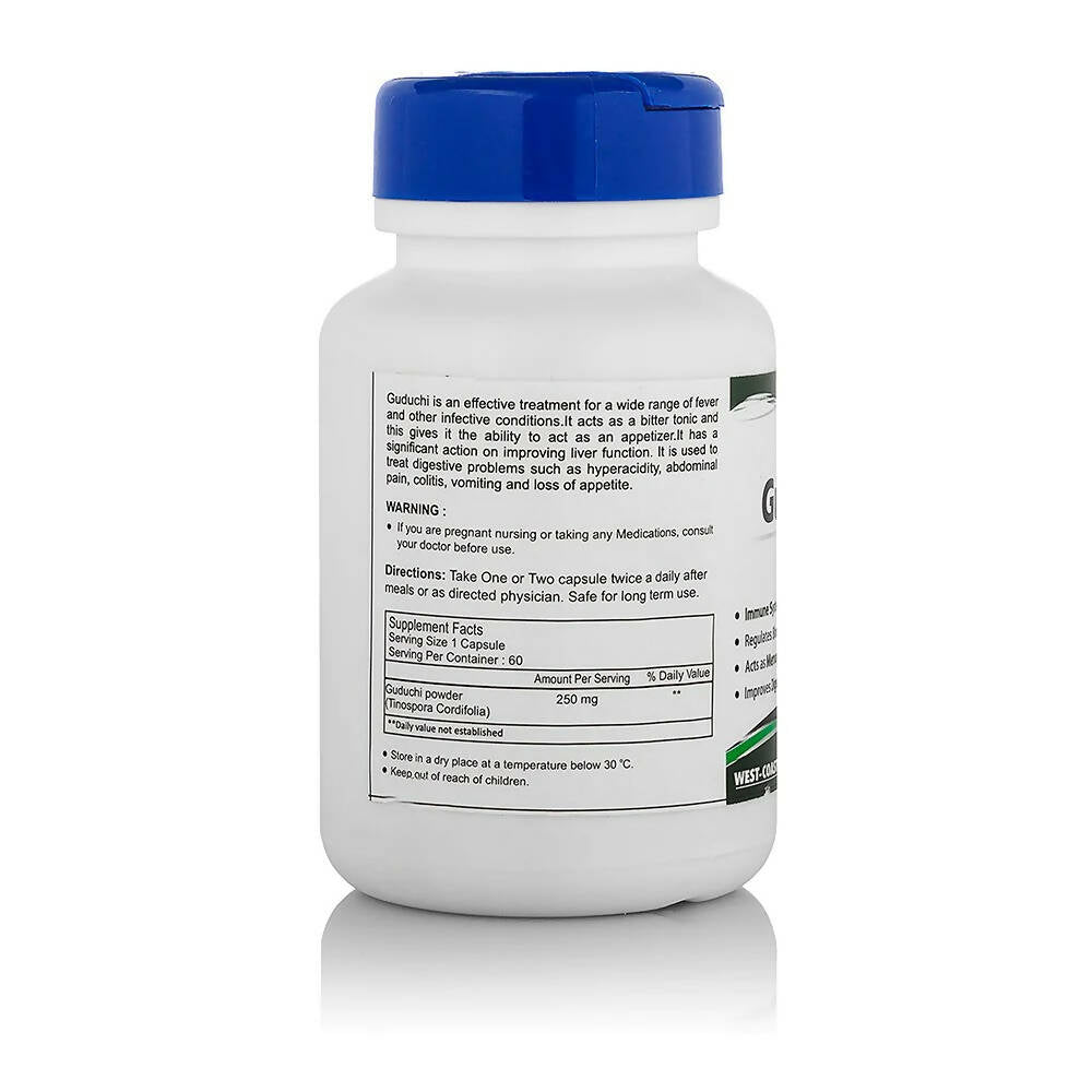 Healthvit Guduchi Capsules - Distacart