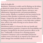 Thumbnail for Satvi Wellness Purifi - Herbal Drink Mix - Distacart