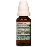 Thumbnail for Dr. Willmar Schwabe Germany Gnaphalium Pentarkan Ptk. 49 Drops - Distacart