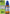 SBL Homeopathy Ammonium Muriaticum Dilution