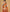Orange Silk Woven Design Saree With Unstitched Blouse Piece - Akshita - Distacart