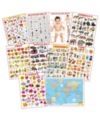 Thumbnail for Dreamland Educational Charts - Combo 5 (10 Charts) : Children Early Learning Laminated Chart - Distacart