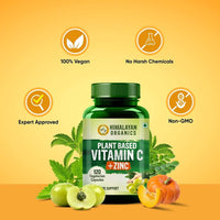 Thumbnail for Plant Based Vitamin C + Zinc Double Immune Support: 120 Vegetarian Capsules