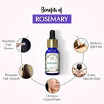 Thumbnail for The Beauty Co. Rosemary Essential Oil - Distacart