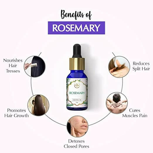 The Beauty Co. Rosemary Essential Oil - Distacart