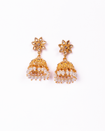 Thumbnail for Gold-Plated Alloy Designer Pearl And Alloy Choker Necklace - The Pari - Distacart