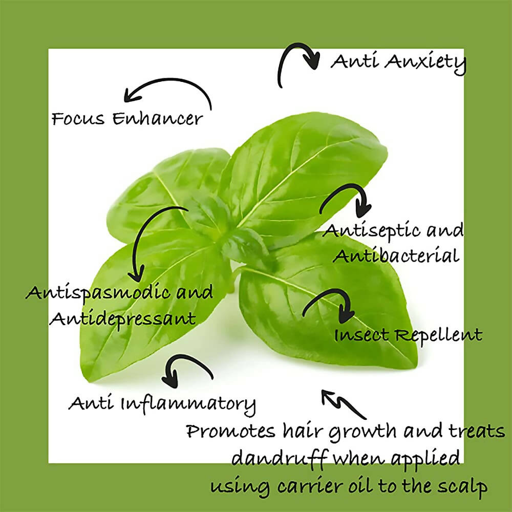 Sarva by Anadi Basil Essential Oil - Distacart