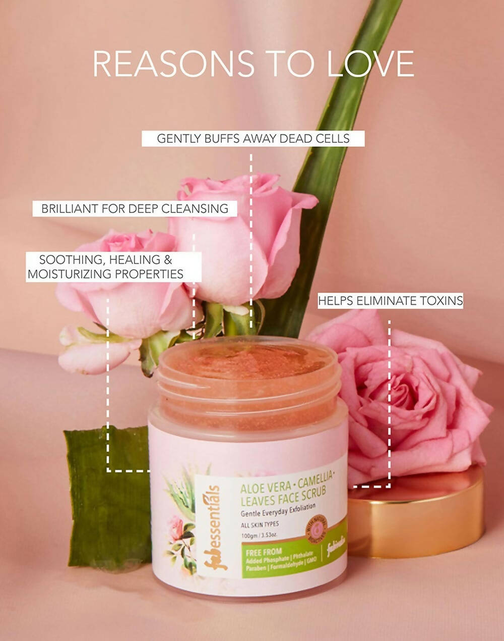 Fabessentials Aloe Vera Camellia Leaves Face Scrub - Distacart