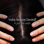 Thumbnail for Kapiva Ayurveda Hair Rituals Neem Triphaladi Shampoo for Dandruff Control - Distacart