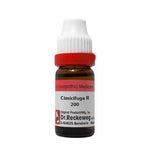 Thumbnail for Dr. Reckeweg Cimicifuga R Dilution - Distacart