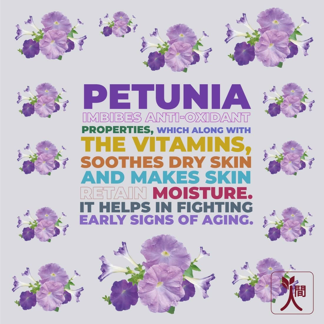 Ningen Petunia Anti-Blemish Radiance Cream - Distacart
