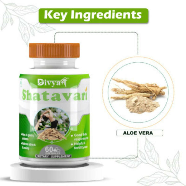 Divya Shree Shatavari Capsules - Distacart